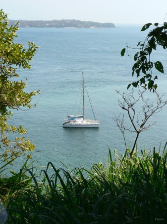 19- Imagine au mouillage a Pacheca 